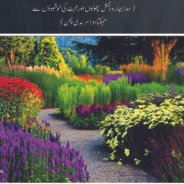 09-Gulfishan-e-Rehmat
